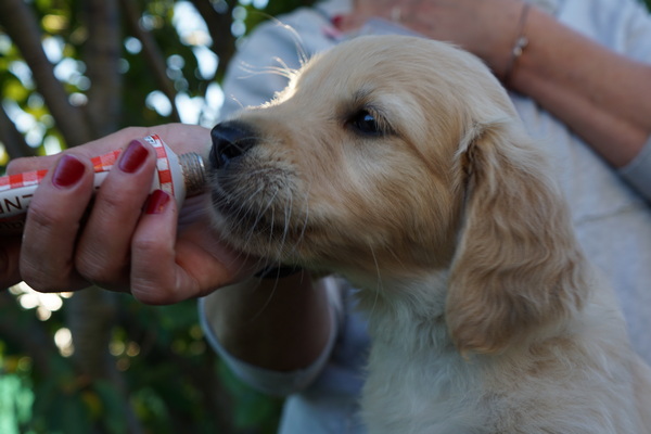 Mrs Black Wo 8_2.jpg